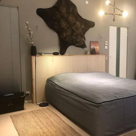 Moderni Talo Rannalla Villa Kuusamo